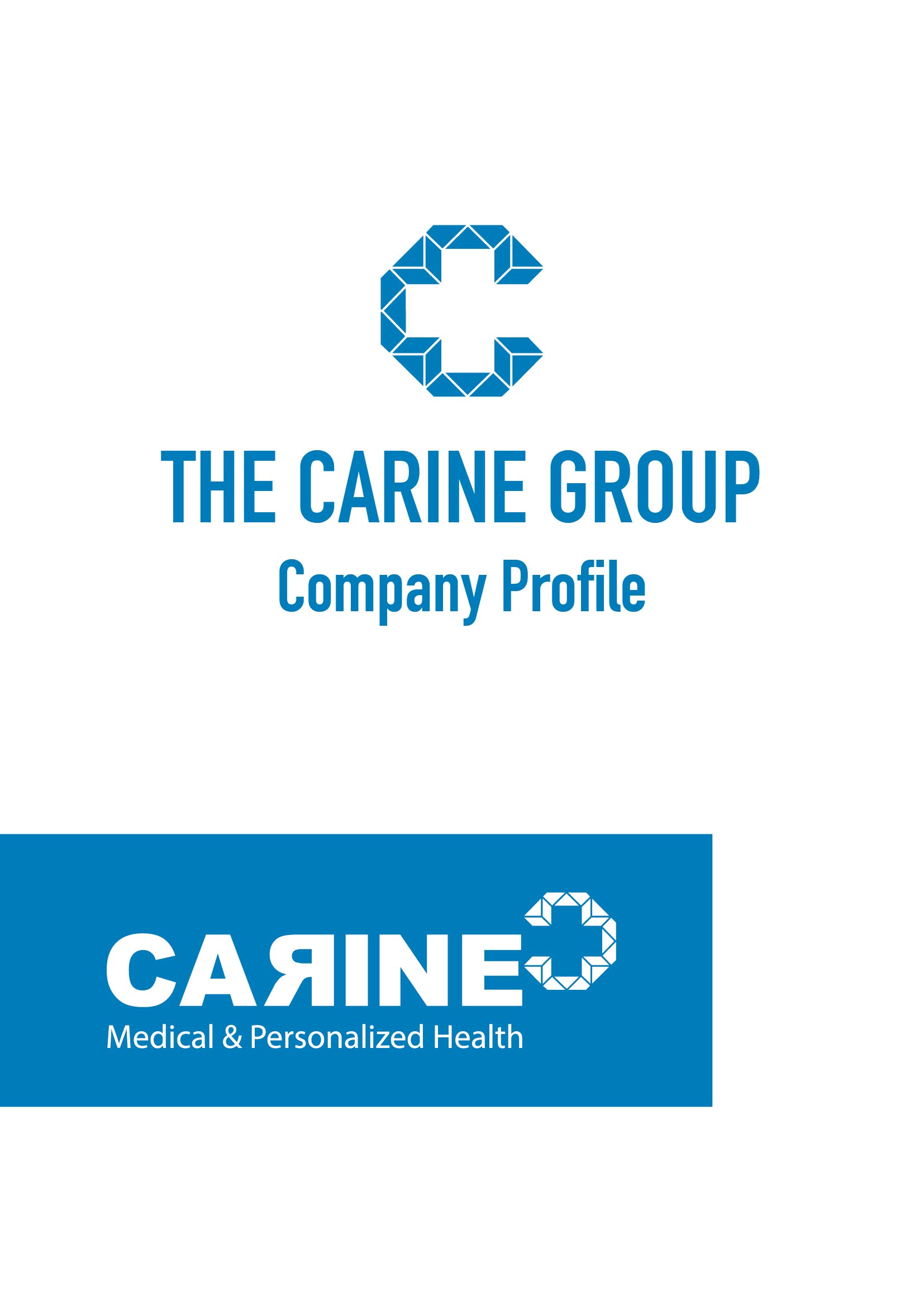 1. THE CARINE GROUP COMPANY PROFILE